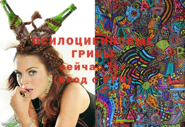 крисы Михайловка