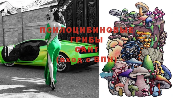 шишки Мегион