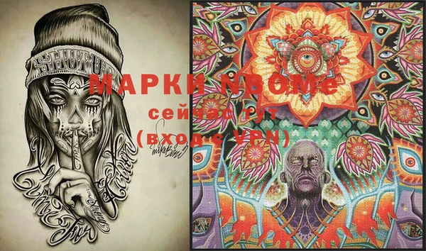 шишки Мегион