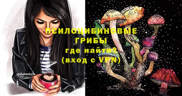 шишки Мегион