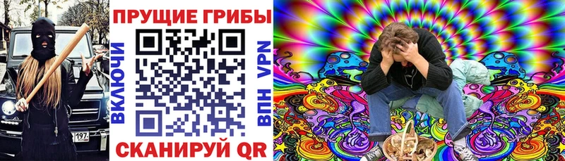 Галлюциногенные грибы Psilocybe  Белокуриха 